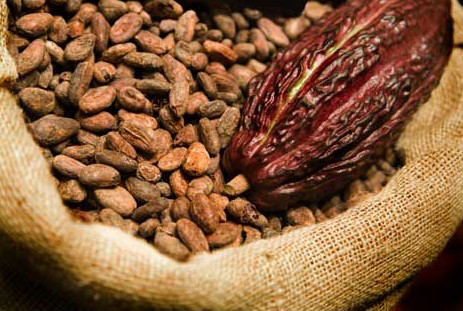 GOVERNMENT TO ANNOUCE NEW COCOA PRODUCER PRICE TODAY
